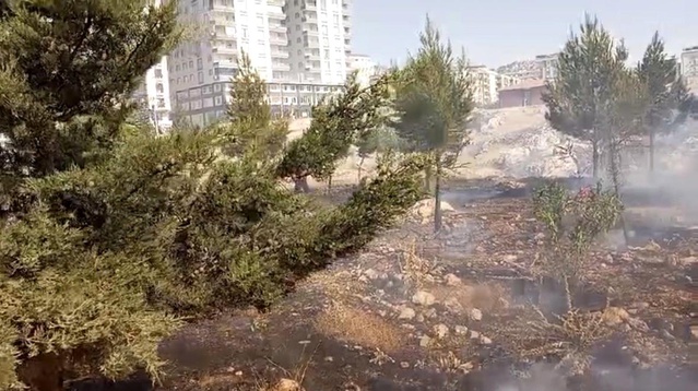 Mardin’de Yangınlarla Mücadele Devam Ediyor