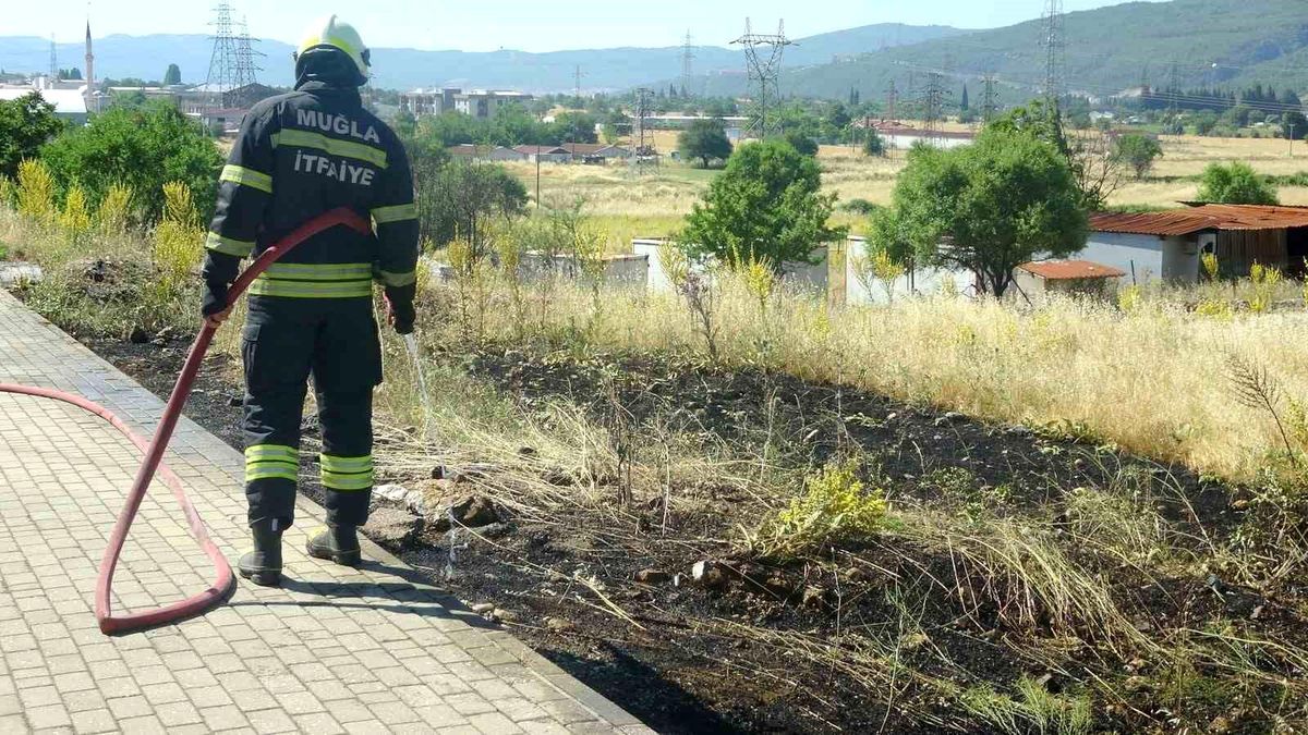 Menteşe\'de yol kenarına atılan sigara izmariti yangın çıkardı