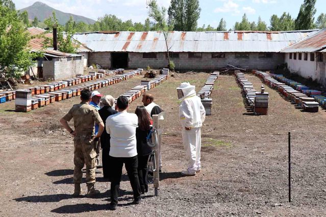 Kaymakam Duman Üreticileri Ziyaret Etti