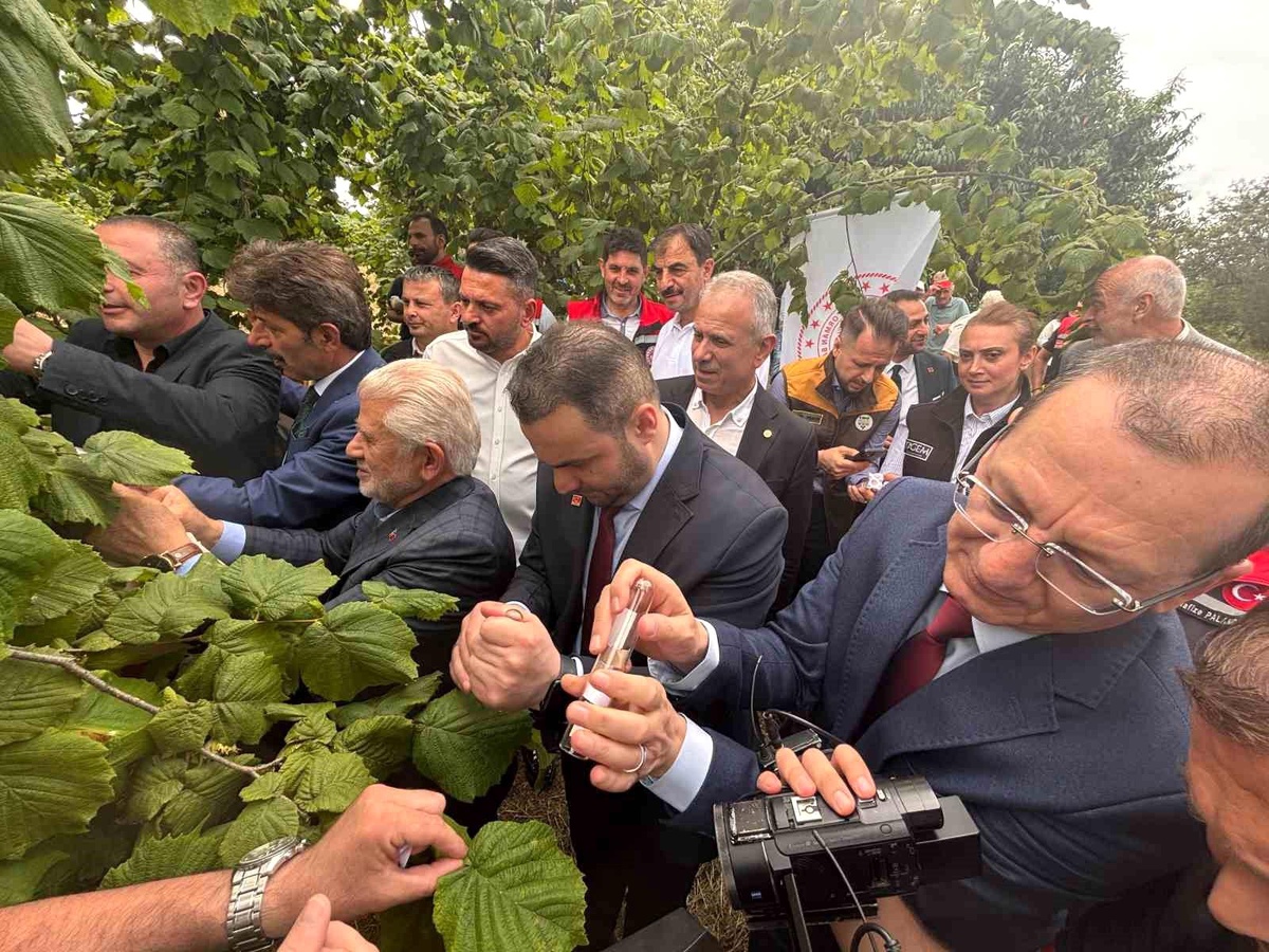 Trabzon\'da kahverengi kokarcaya karşı doğal ordu göreve başladı