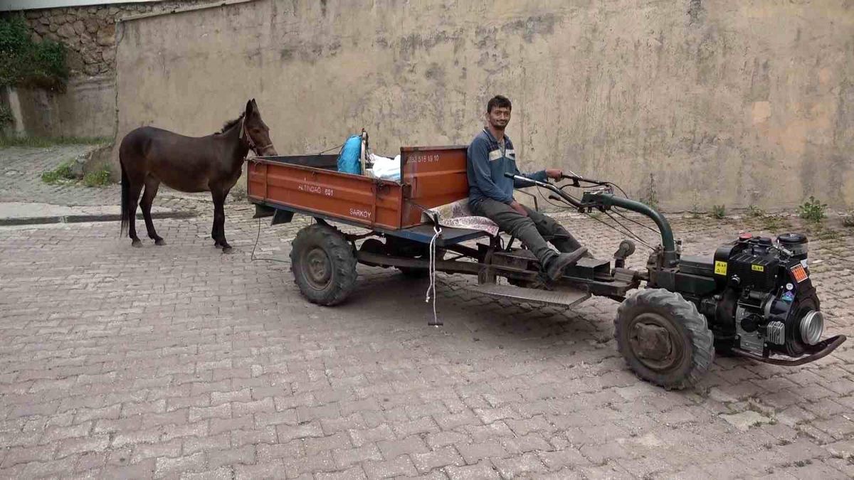 Engelli Genç ile Katırı Arasındaki Sıra Dışı Dostluk