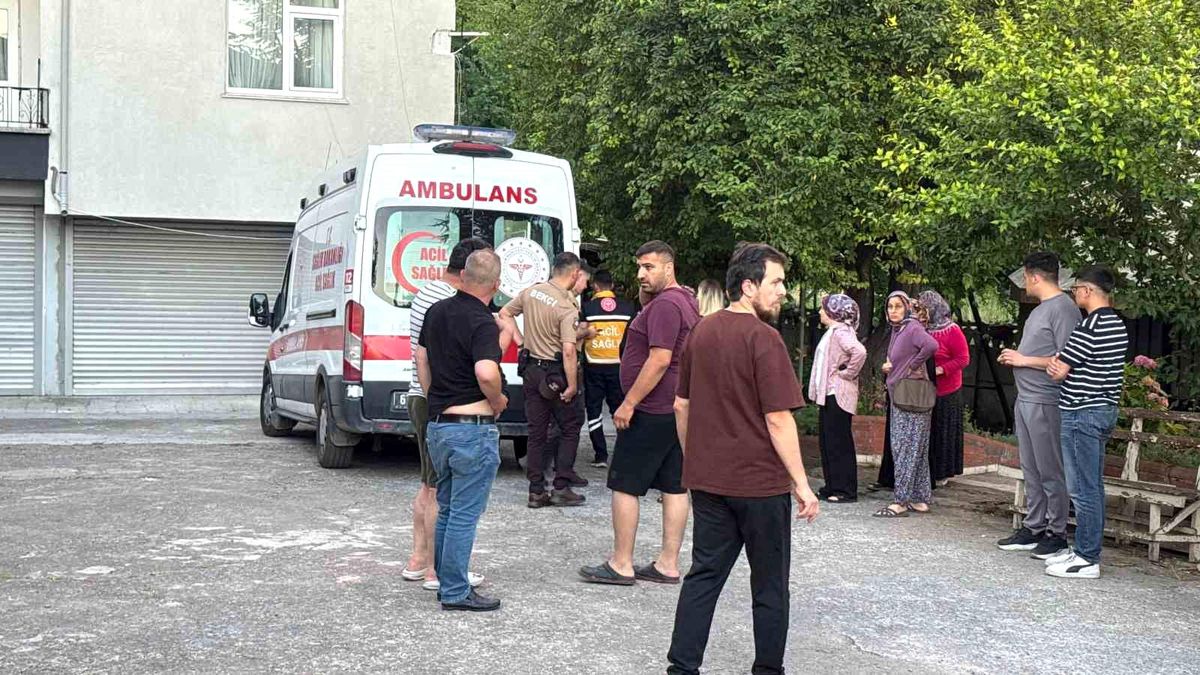 Dut Toplarken Düşen Adam Yaralandı