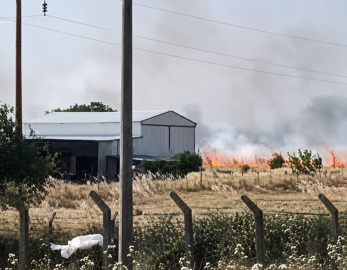 Çanakkale\'de Tarım Arazisinde Yangın