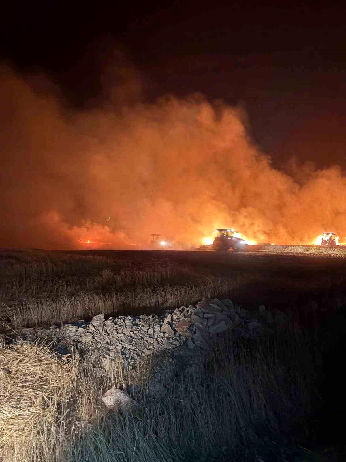 Mazıdağı\'nda dün gece çıkan yangında ekili araziler zarar gördü