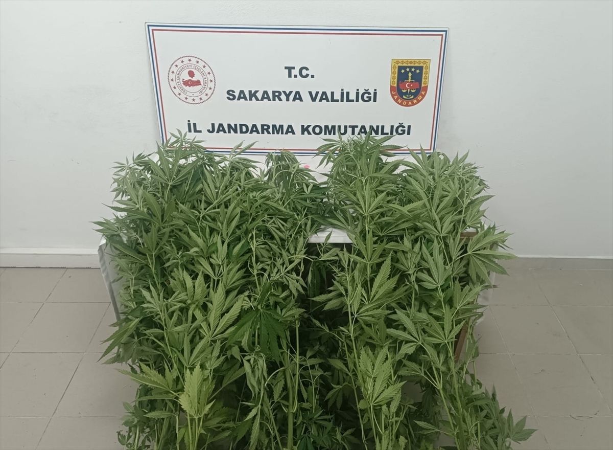 Sakarya\'da Uyuşturucu Operasyonu: 3 Tutuklama