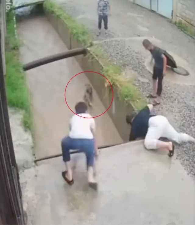 Sel sularına kapılan 12 yaşındaki çocuğu vatandaşlar son anda kurtardı