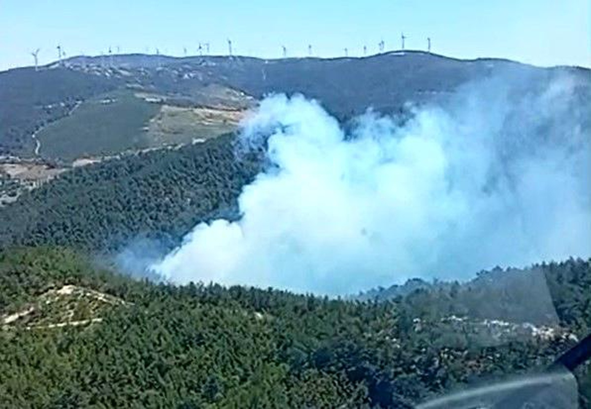 Soma\'da Orman Yangınına Müdahale