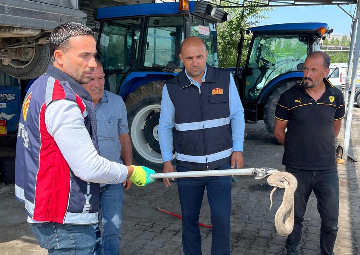 Otomobildeki Yılan İtfaiye ile Kurtarıldı