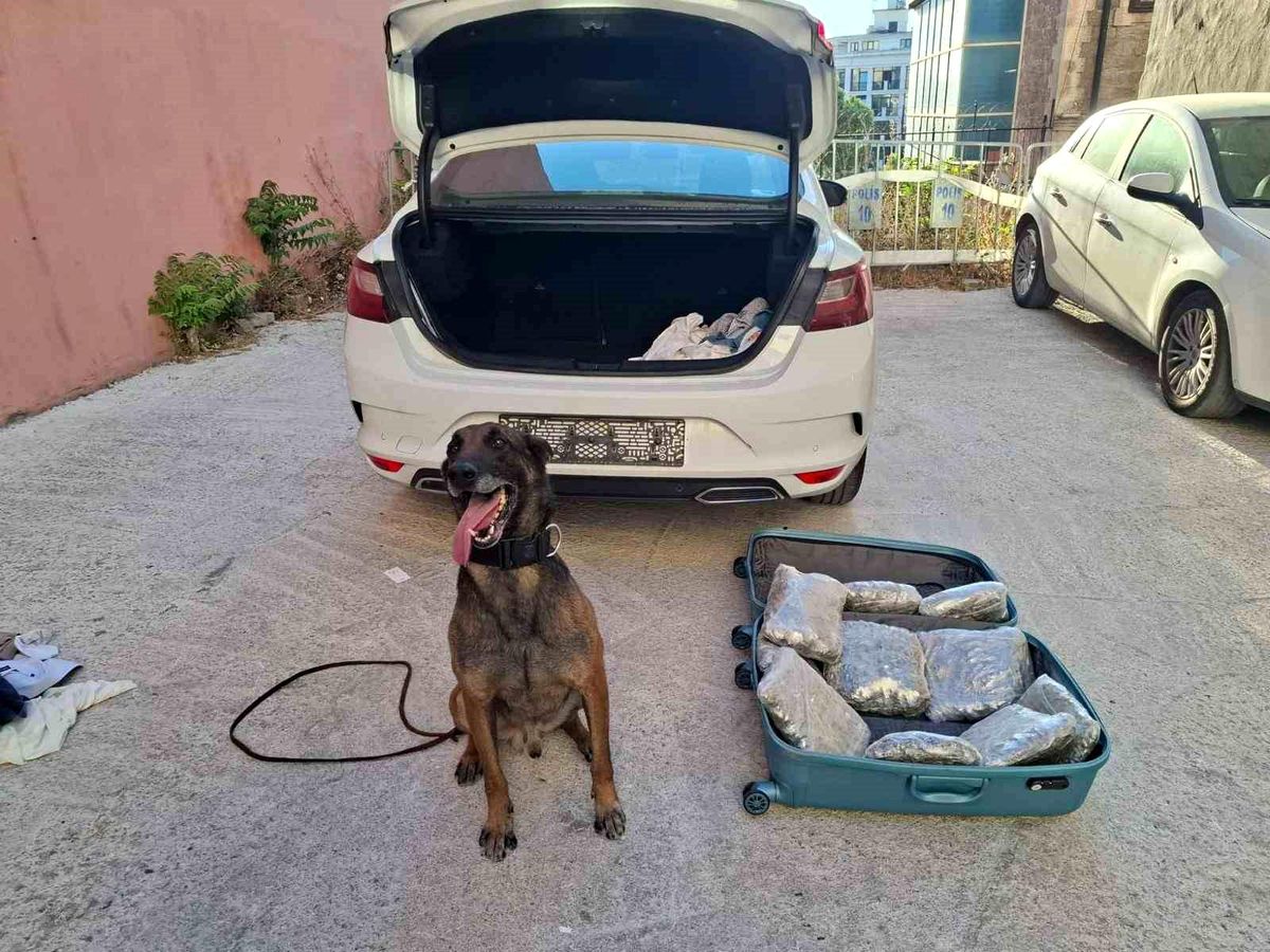 Balıkesir\'de Tarihi Narkotik Operasyonu