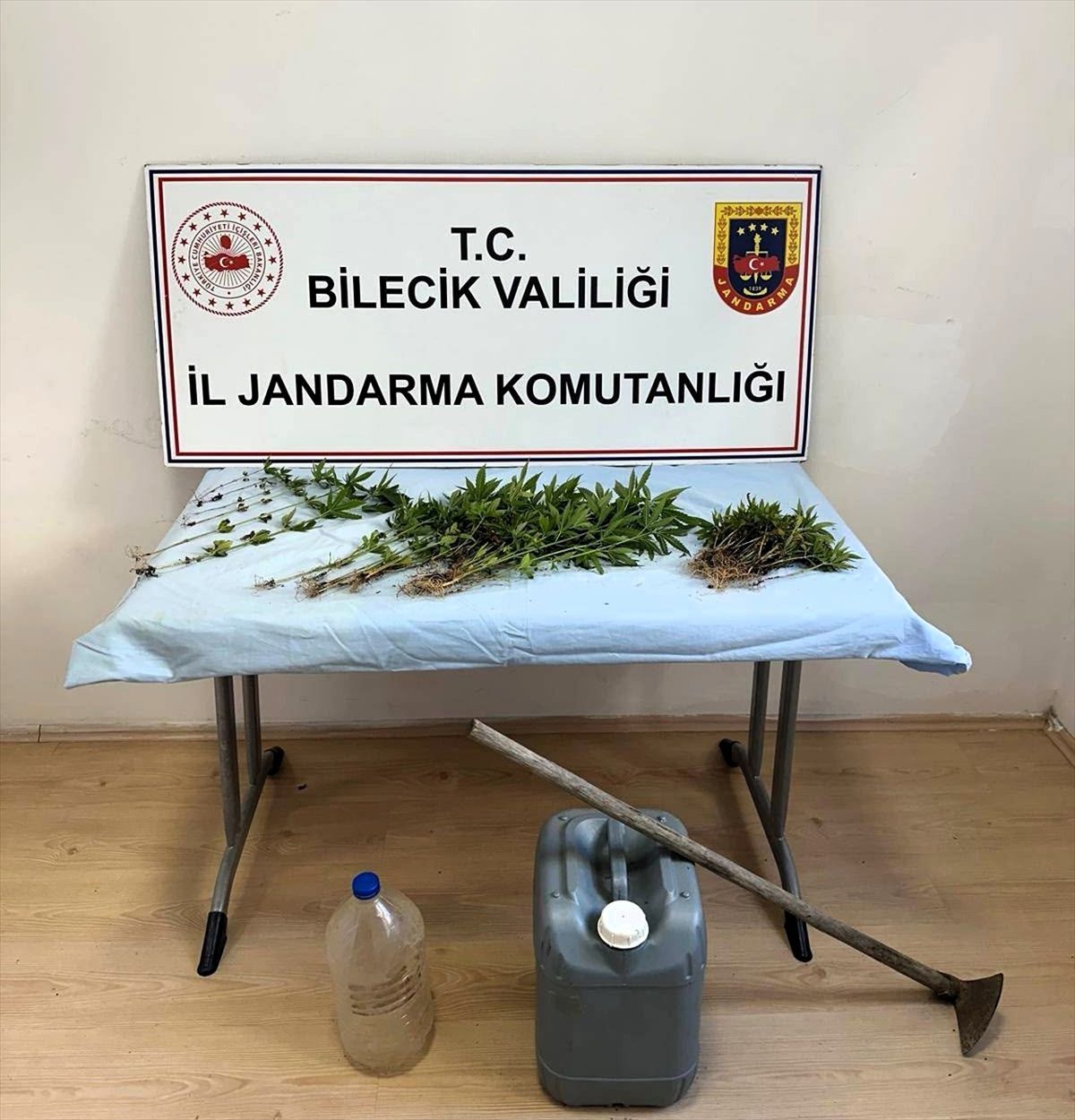 Ormanlık Alanda Hint Keneviri Yetiştiren Şüpheli Yakalandı