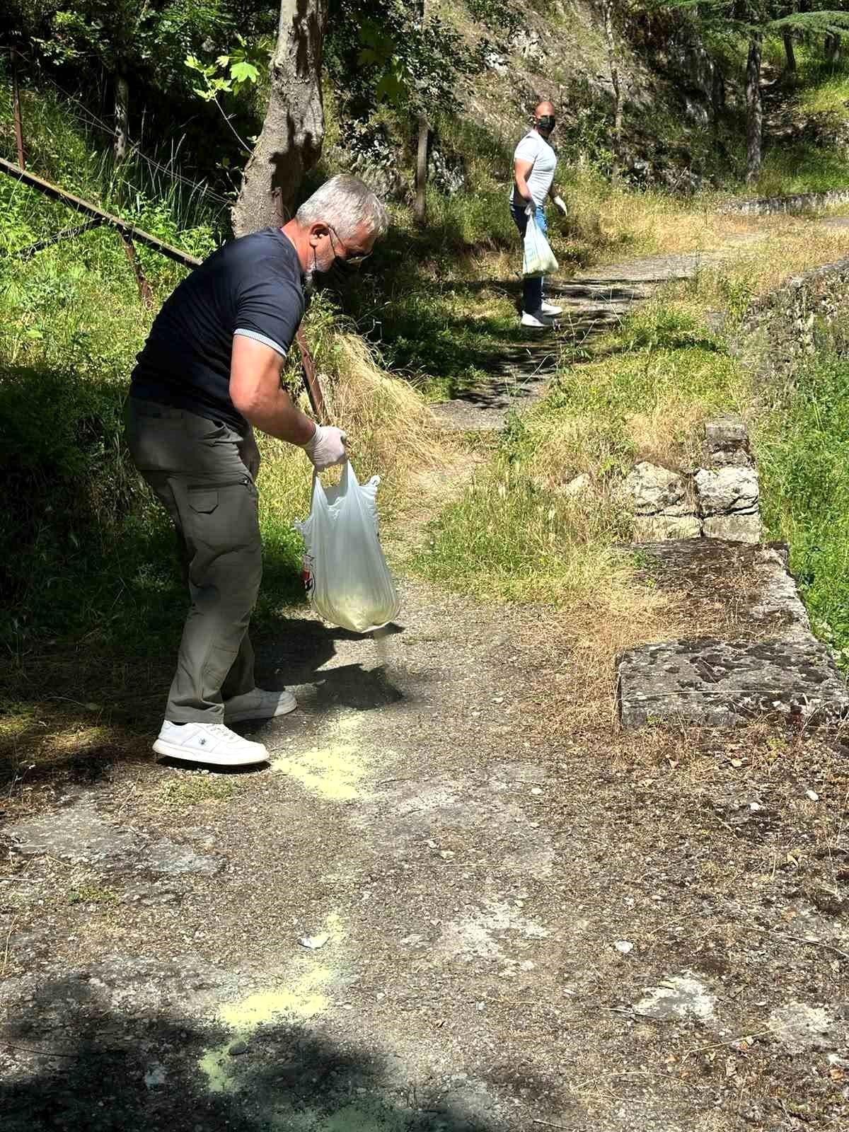 Bilecik\'te piknik alanlarında ilaçlama çalışması gerçekleştirildi