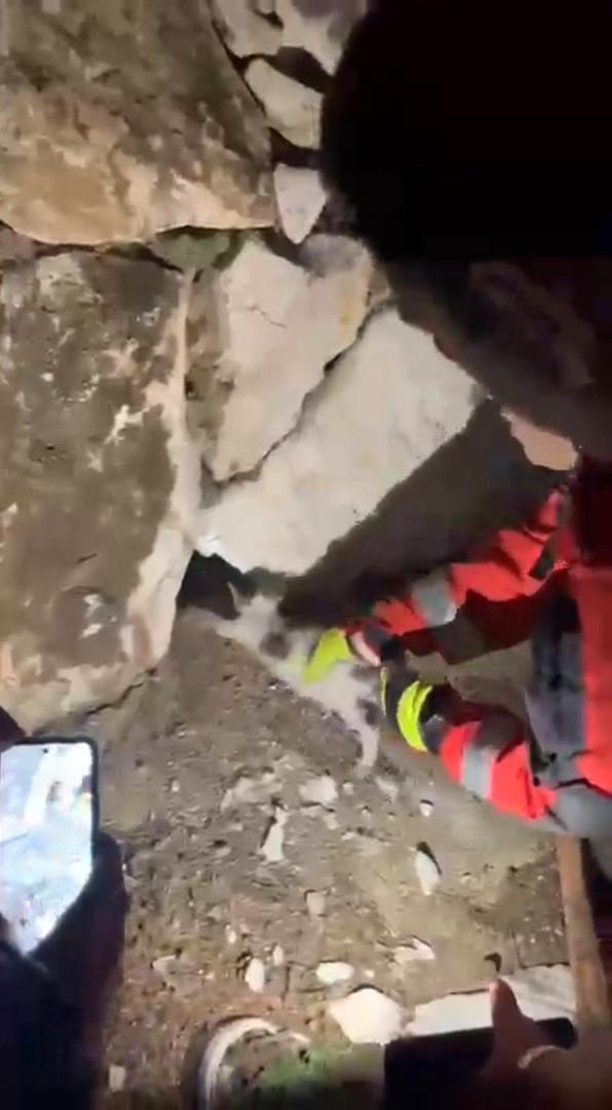 Taş Duvar Arasındaki Kedi Kurtarıldı