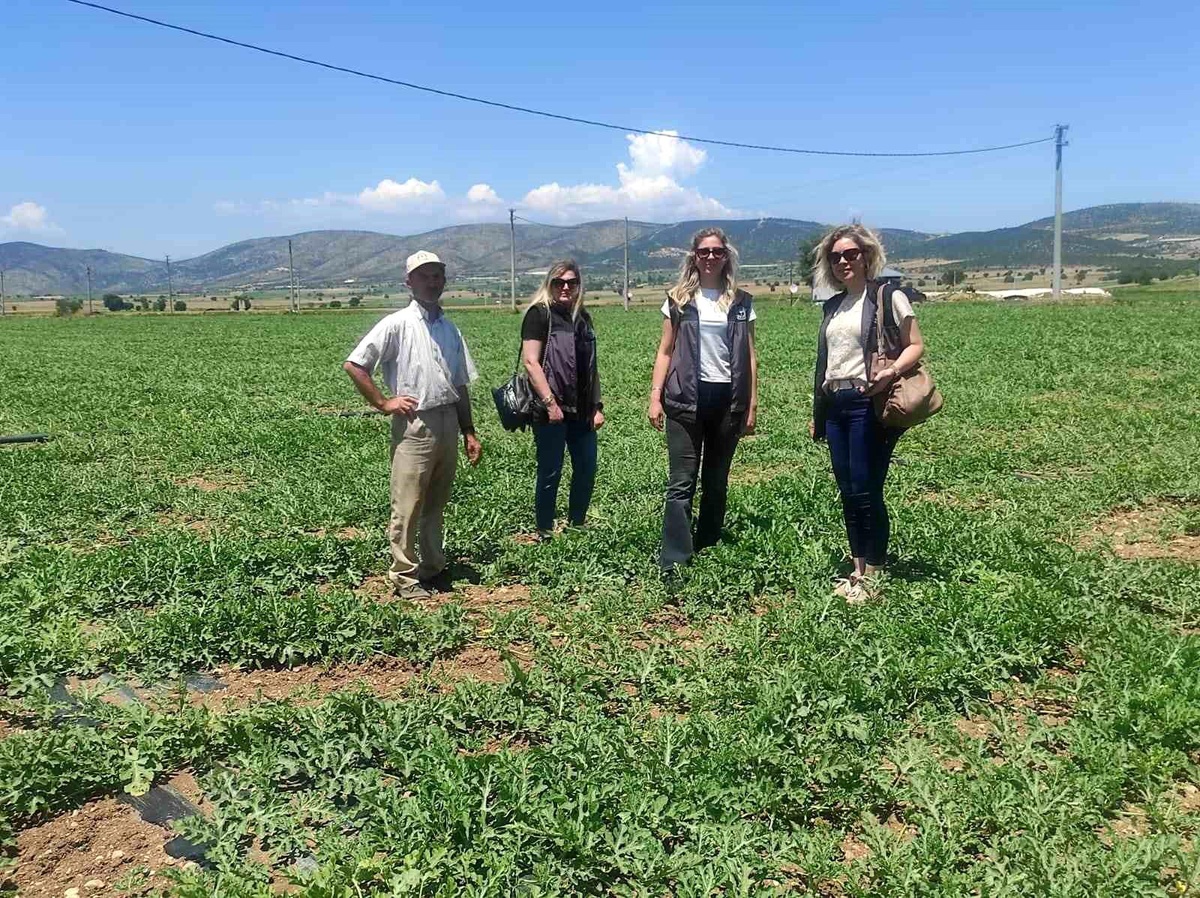 Medetli Karpuzu Geleceğe Taşınıyor