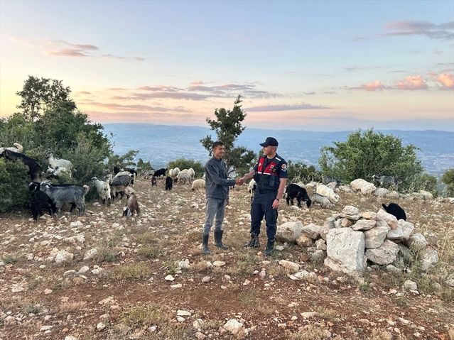 Kayıp Hayvanlar Dronla Bulundu