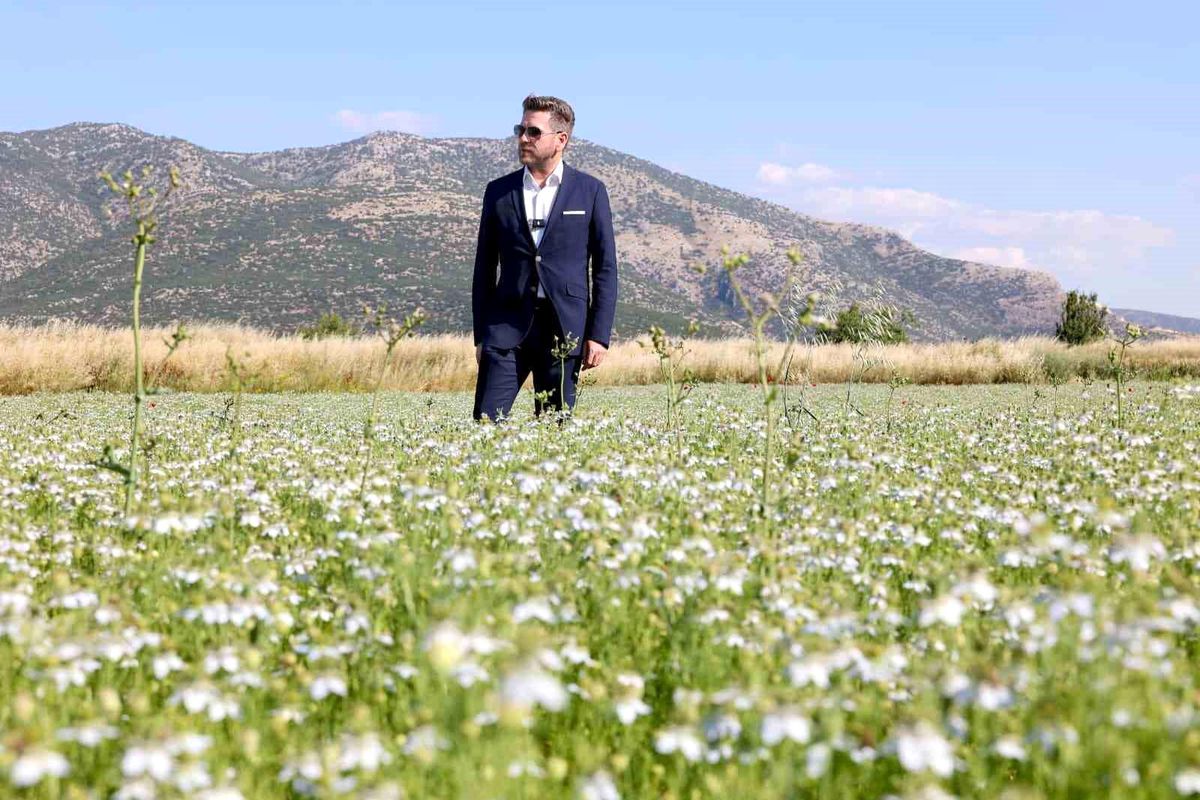 Tavas\'ta karacaot ekiminde verimlilik testi yapılıyor
