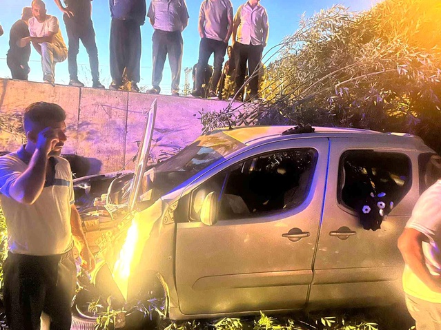 Gevaş’ta şarampole devrilen kamyonette 4 yaralı