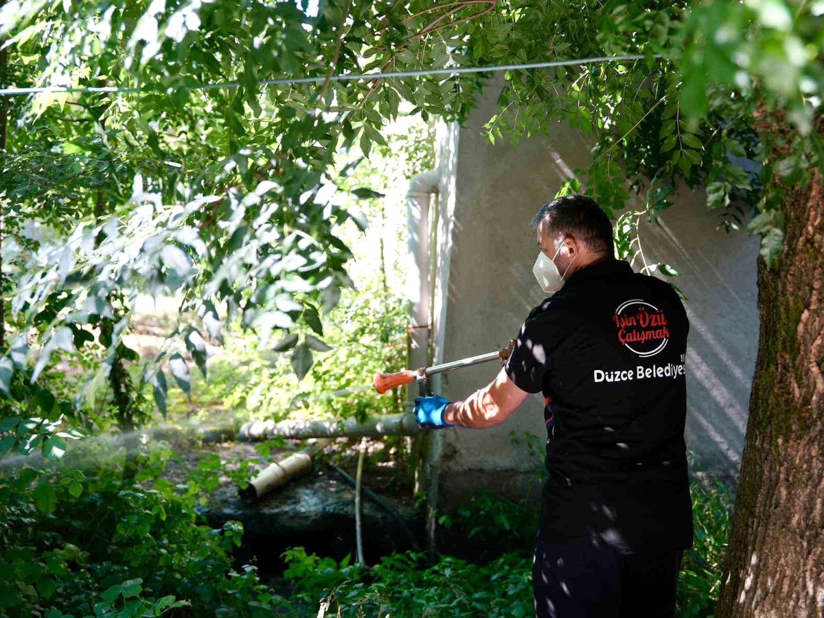 Vatandaşlara, Asya Kaplan sivrisineği uyarısı