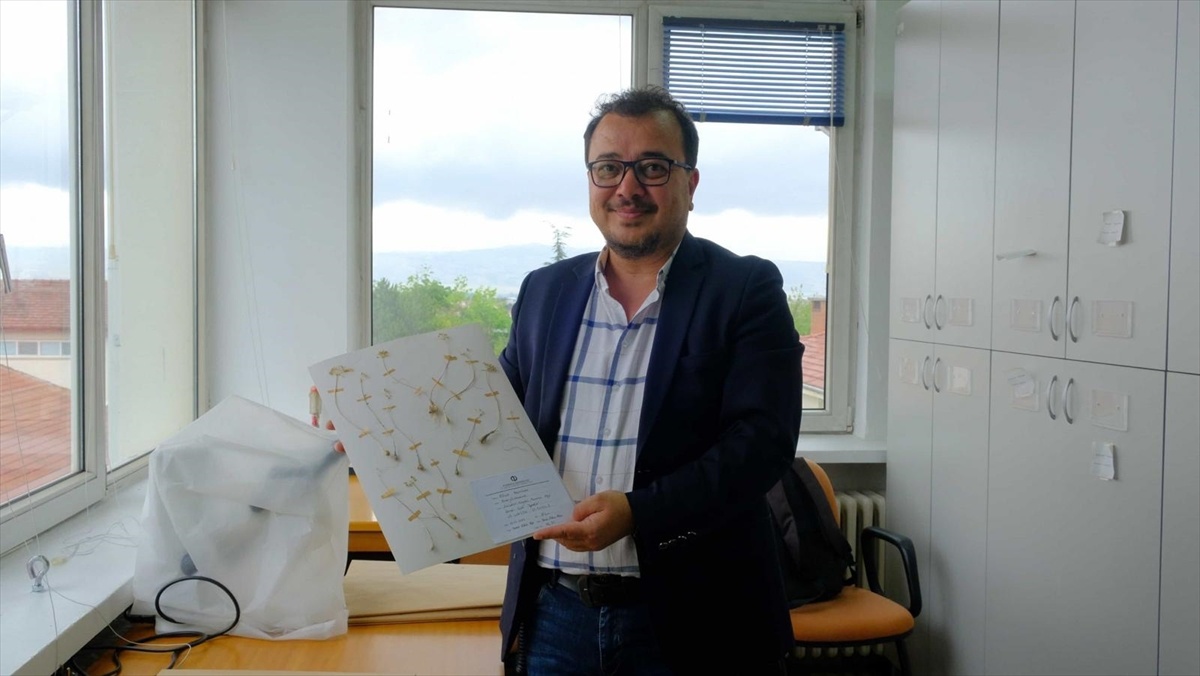 Anadolu Üniversitesi’nden 2 Yeni Yabani Soğan Türü