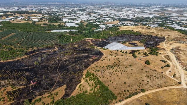 Antalya’da 10 Hektar Alan Yandı