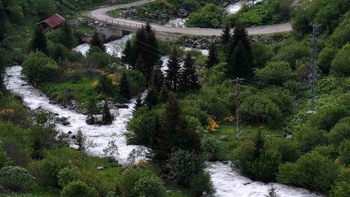 Rize Yaylaları Yeşile Büründü