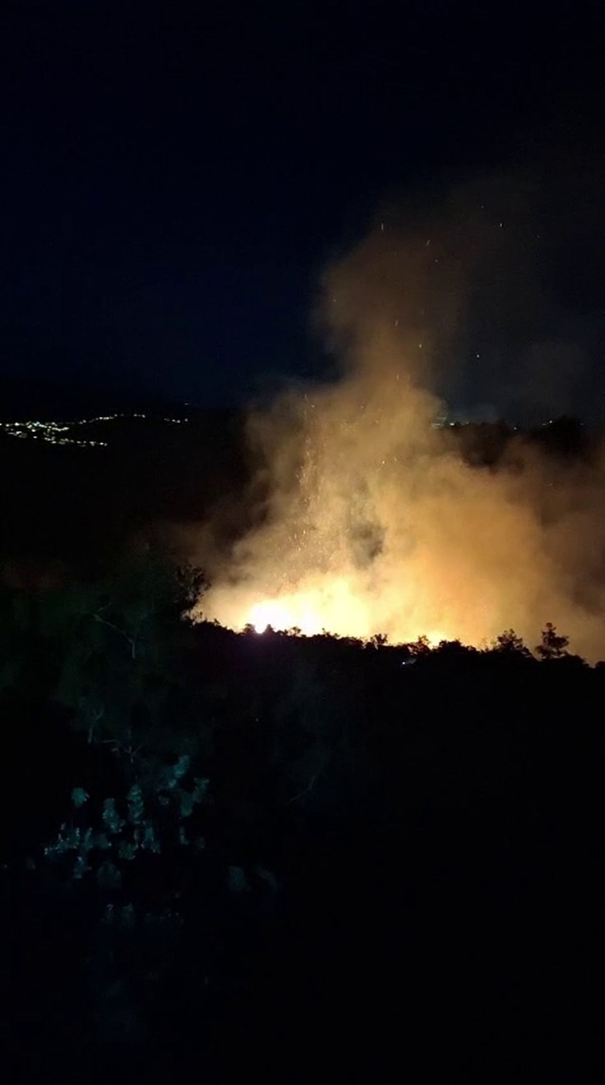 Antakya\'da orman yangını hızla söndürüldü