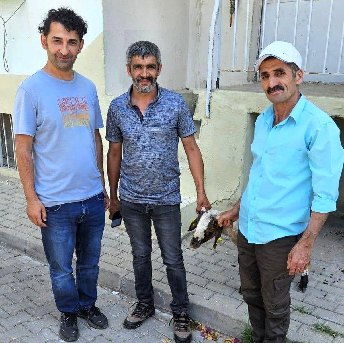 Başboş Kuzu Sahibine Uğraştırıldı