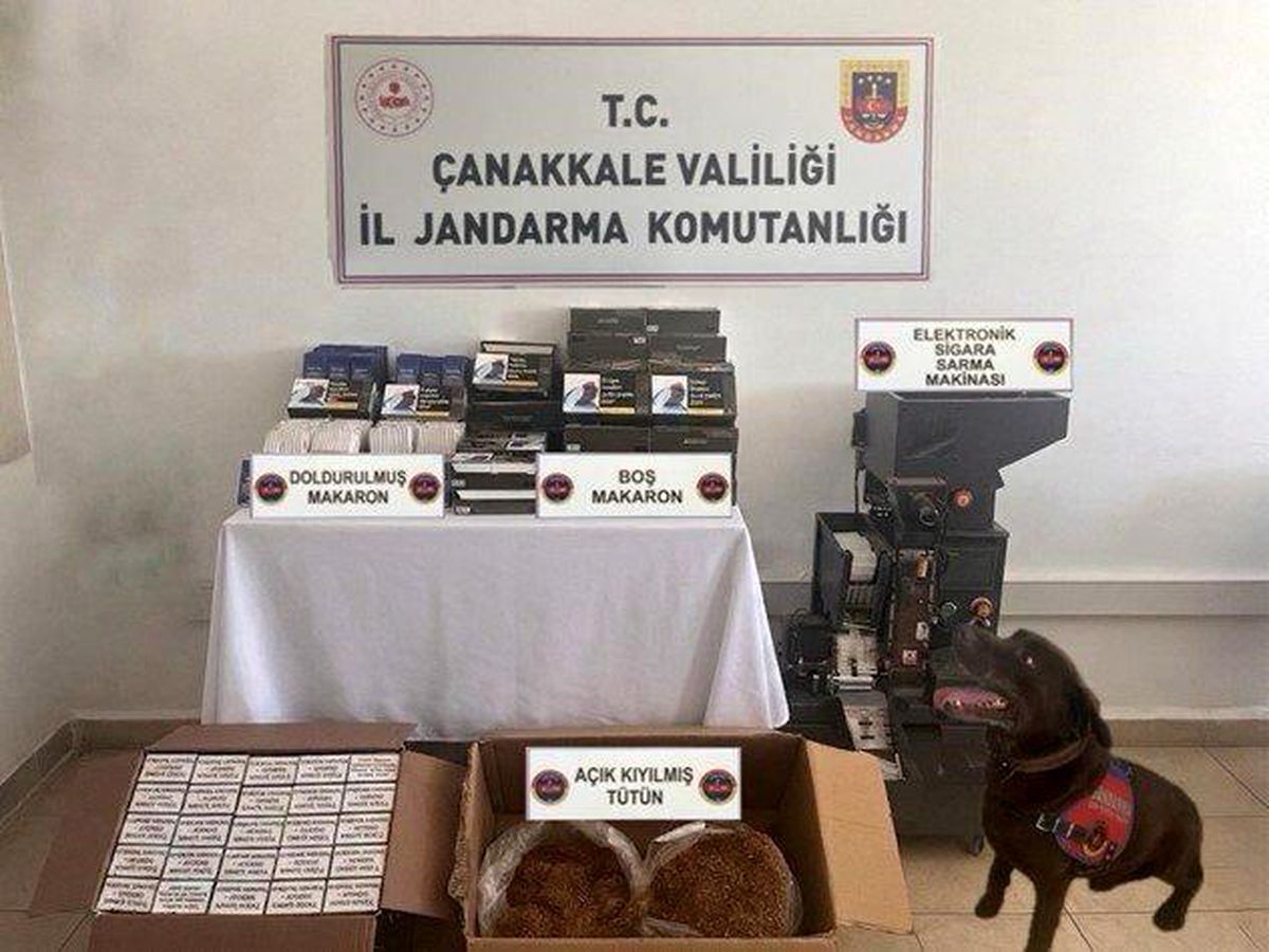 Çanakkale\'de Kaçakçılık Operasyonu