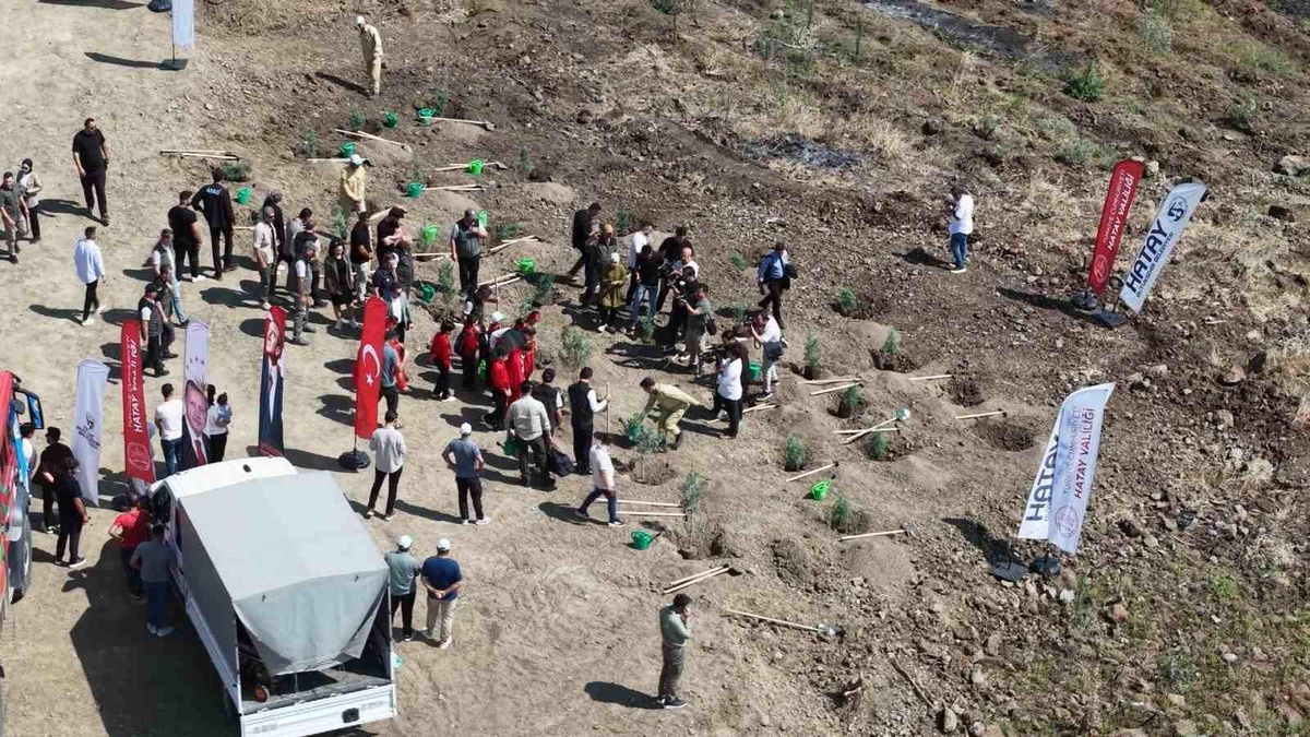 Hatay\'da çocuklarla bin fidan toprakla buluştu
