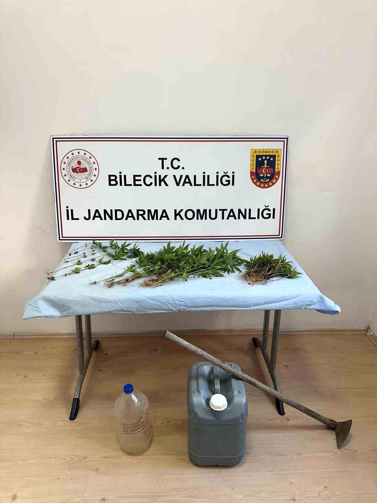 Bilecik\'te Kenevir Ekimi Yapan Şahıs Yakalandı