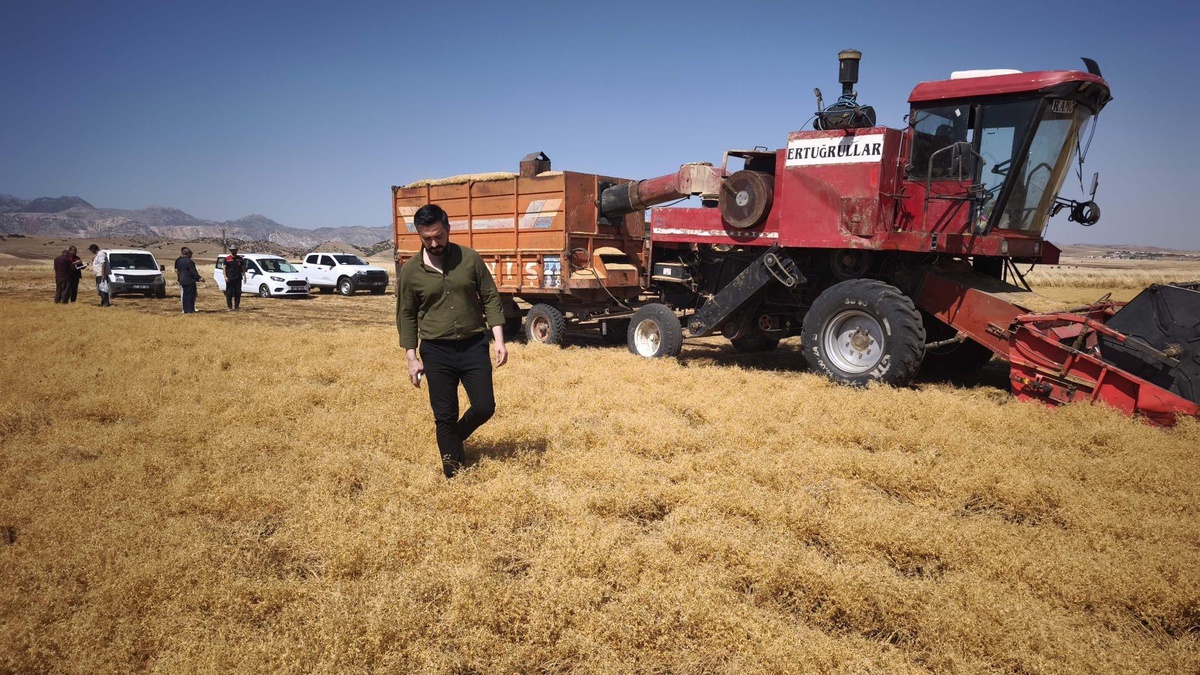 Şırnak\'ta kalıcı TMO alım merkezi için girişimler başladı