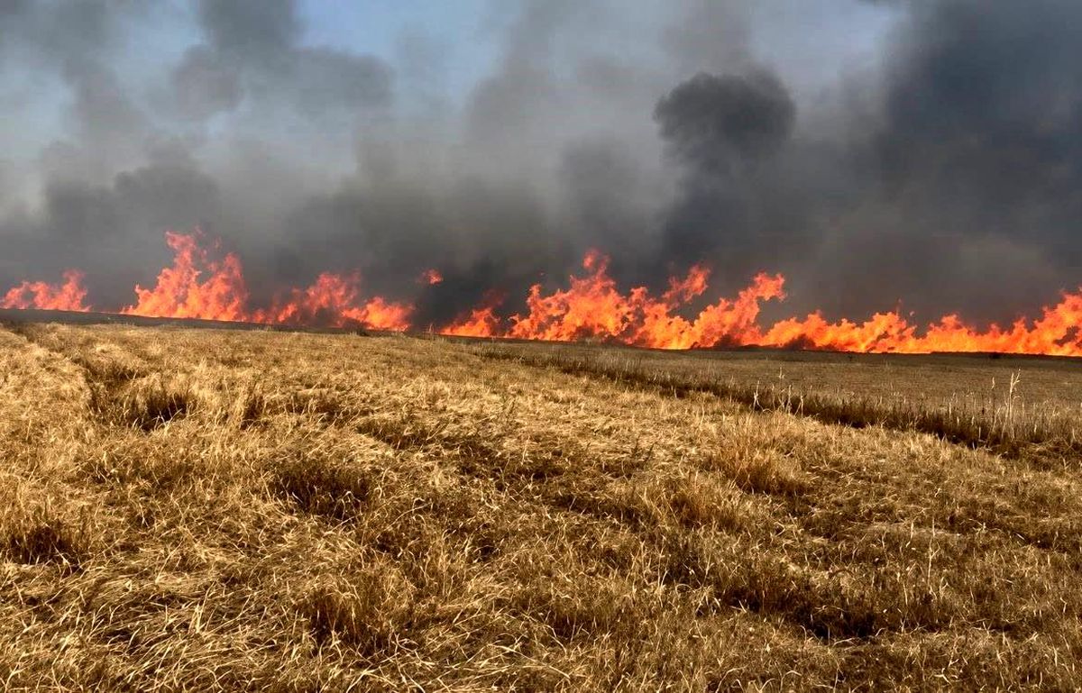 Tekirdağ\'da Yangın: 400 Dönüm Buğday Tarlası Zarar Gördü