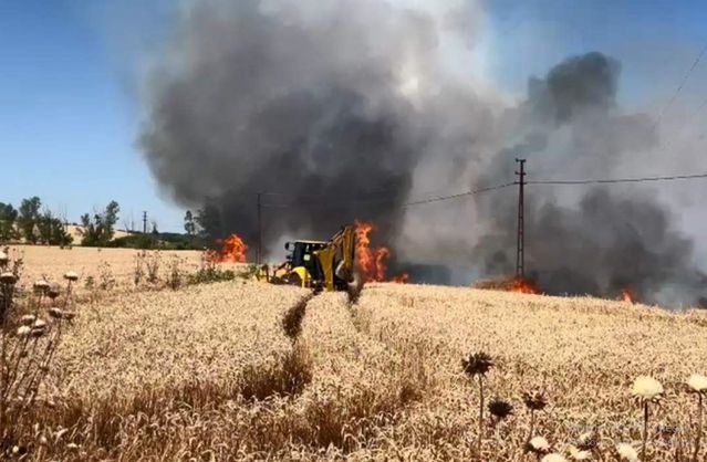 Malkara’da Yangın: 50 Dekar Buğday Yandı