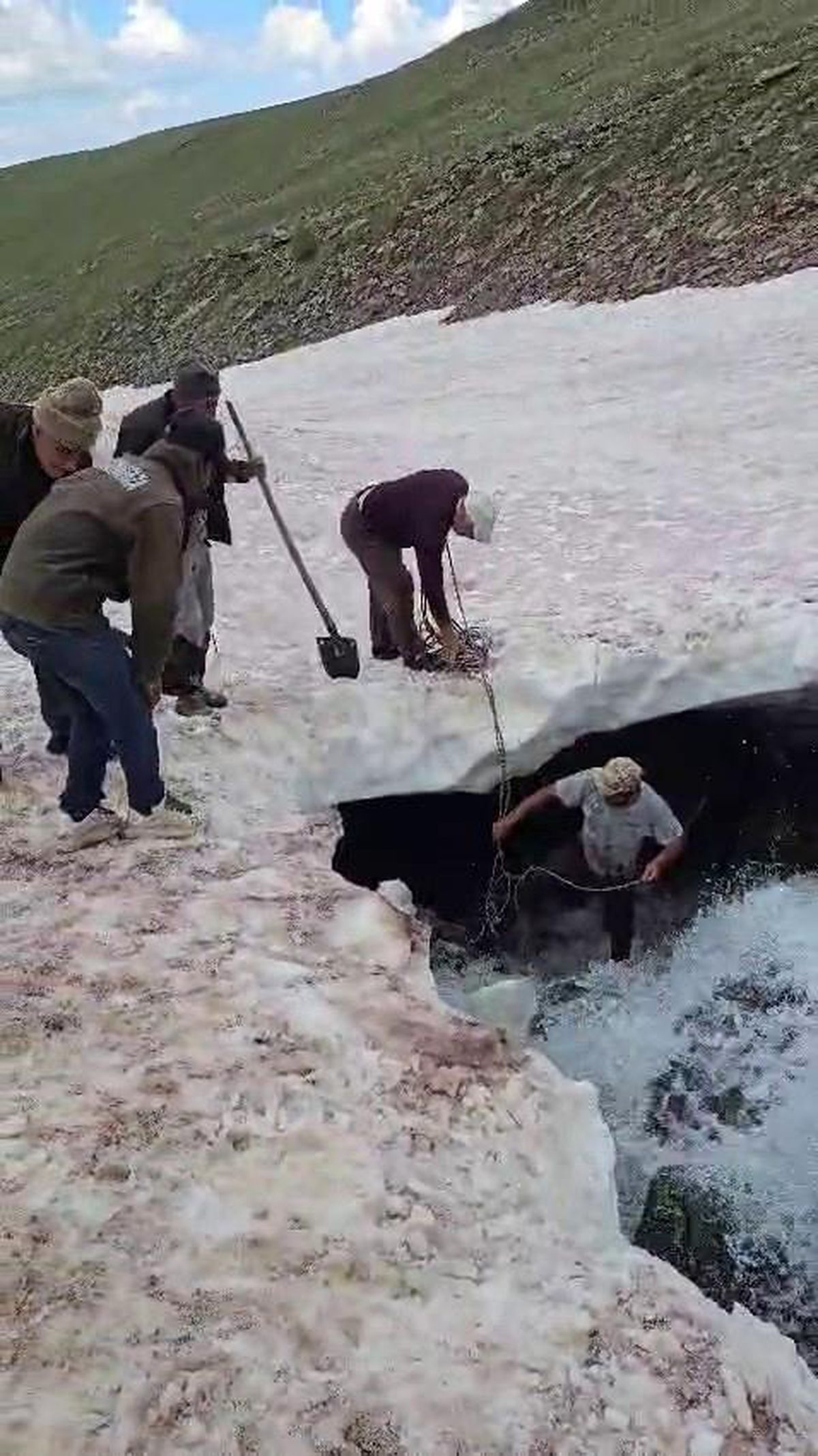 Buzullardan Kurtarılan Dana