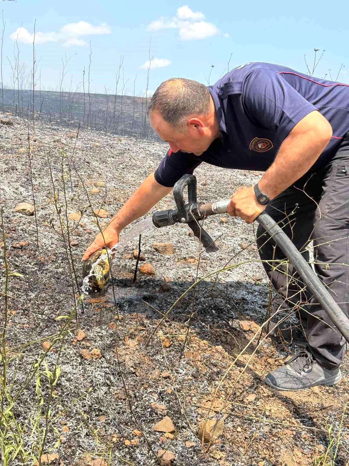 Yangının ortasında kalan kaplumbağayı suyla serinlettiler