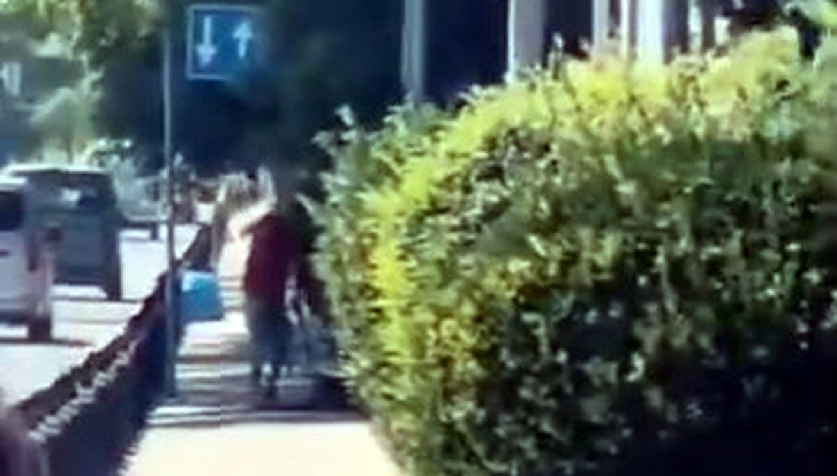 Avcılar\'da Köpeğe Şiddet Uygulayan Şahıs Aranıyor