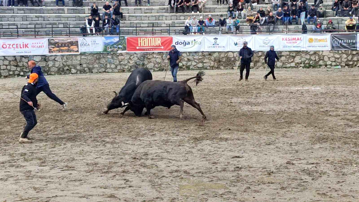 Ayder Şenliği Sağanakta Başladı