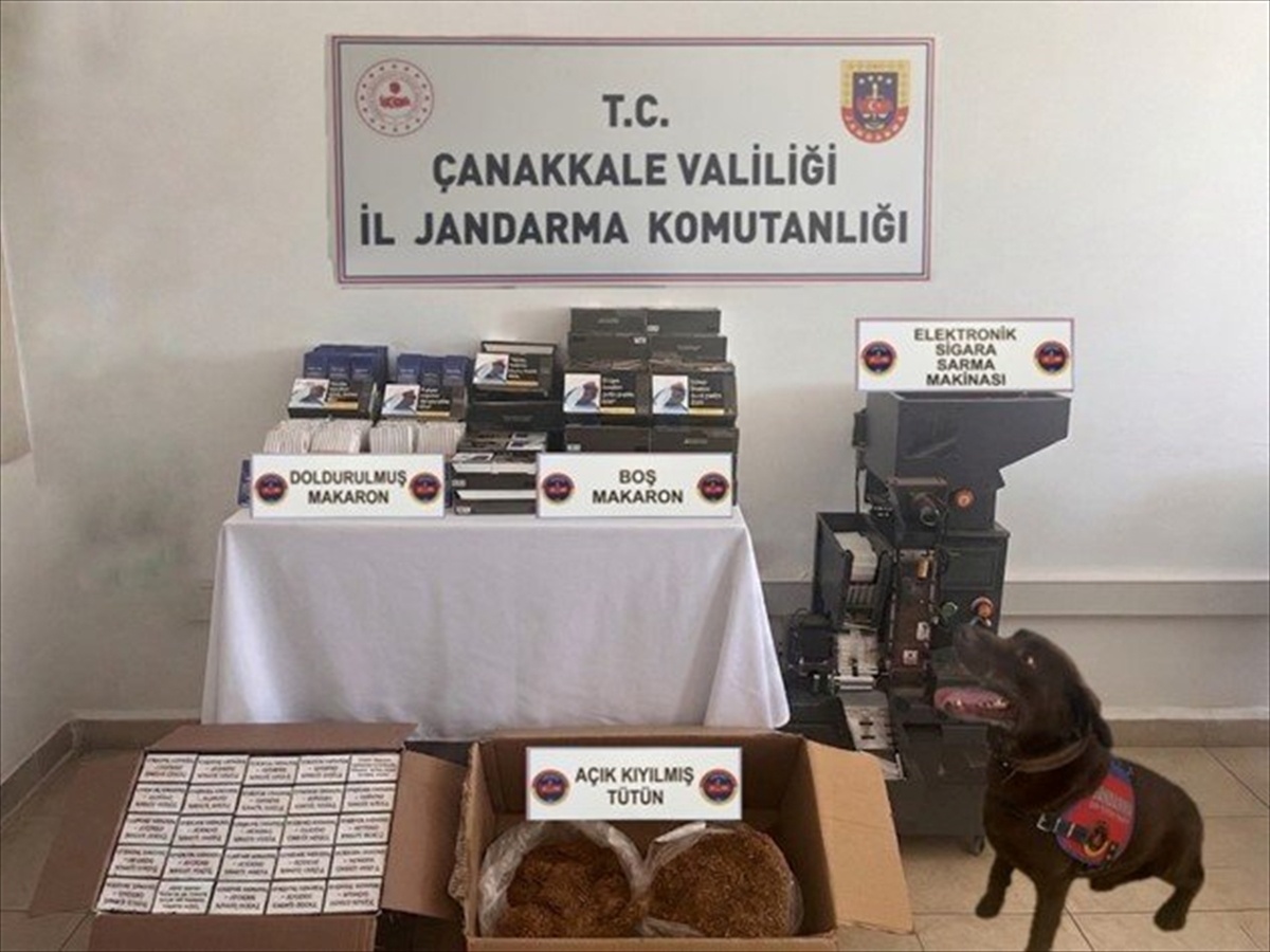 Çanakkale\'de Kaçak Tütün Operasyonu