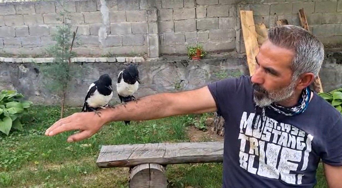 Yavru Kuşlara Şefkat