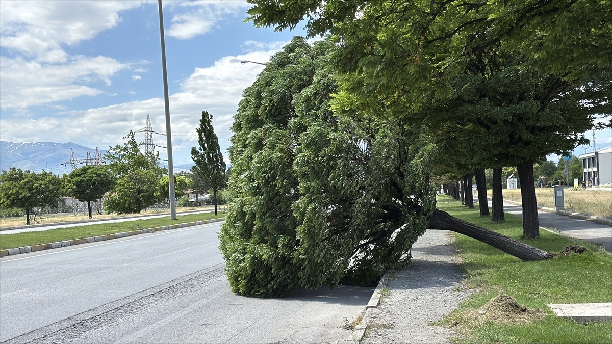 Erzincan\'da Kuvvetli Rüzgar Hasara Yol Açtı