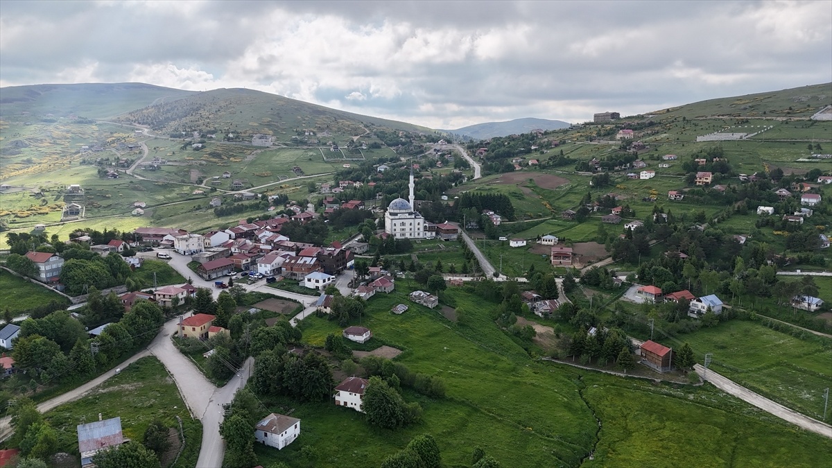 Çambaşı Yaylası\'nda Yaz Eğlencesi