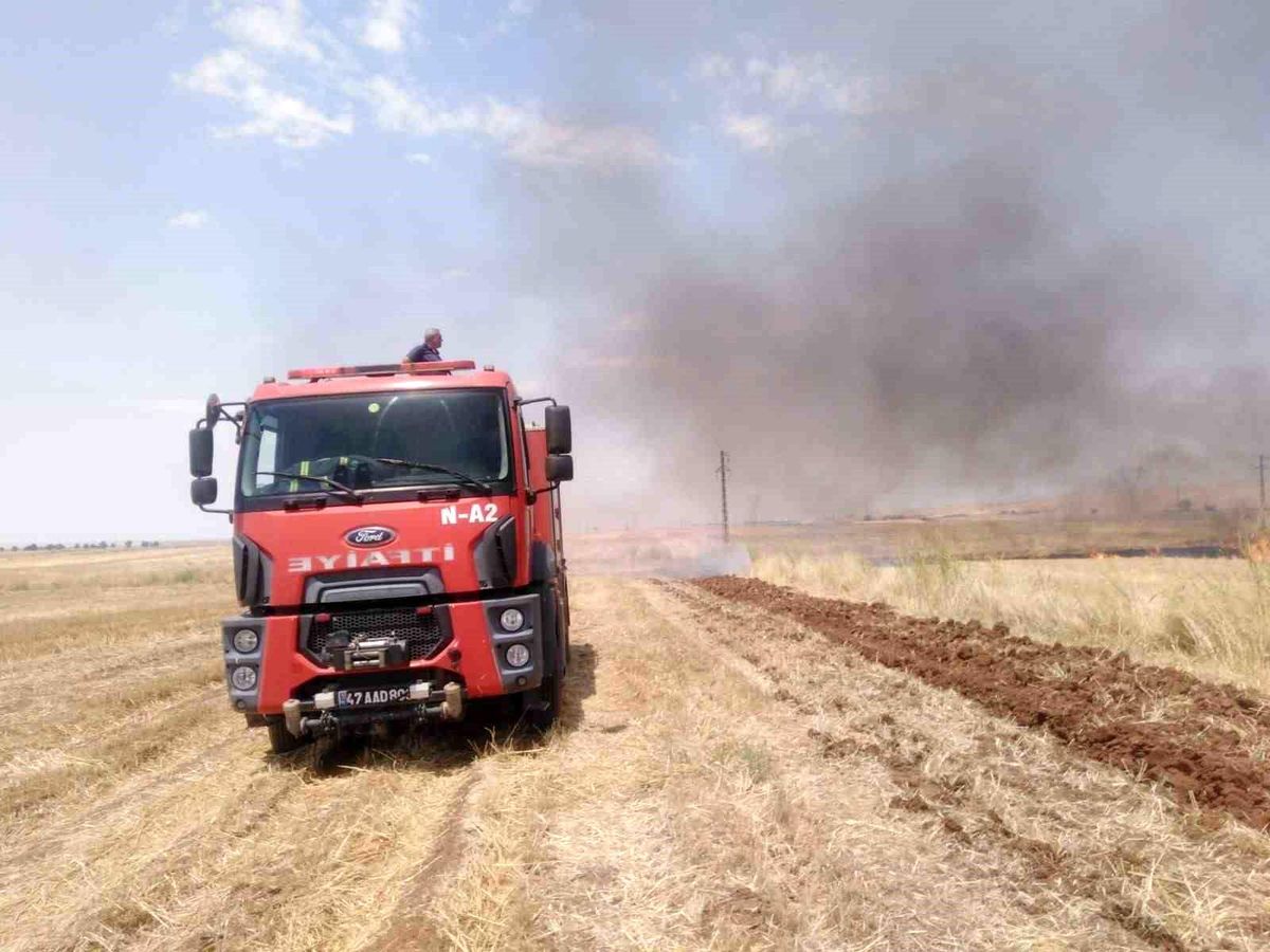 Mardin\'de anız yangını söndürüldü