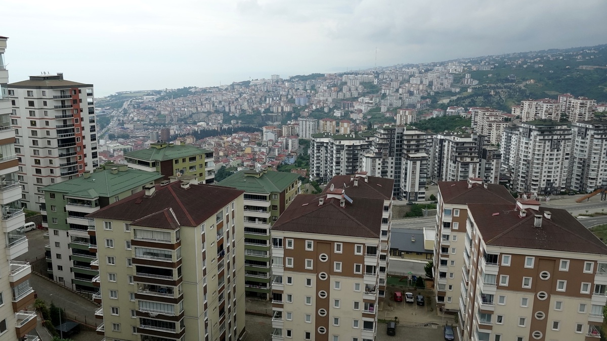Martı Jonathan ile Dostluk