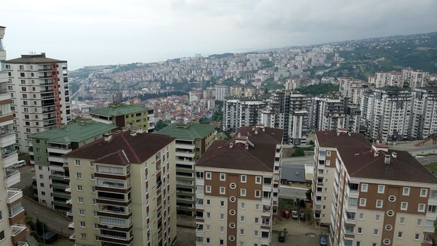 Martı Jonathan ile Dostluk