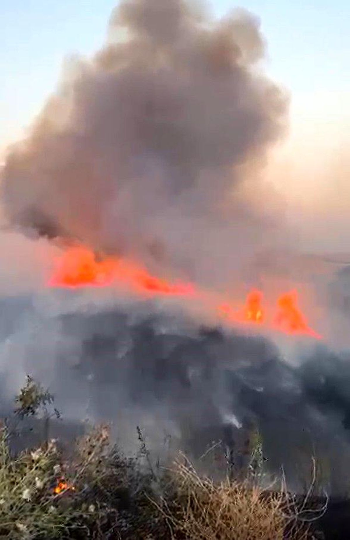 Gaziantep\'te Buğday Tarlasında Yangın
