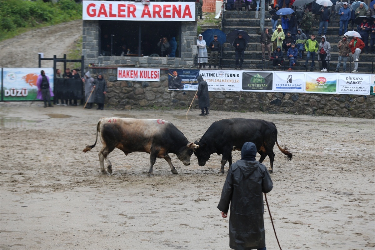 Ayder Festivalinin 30. Yılı Kutlandı