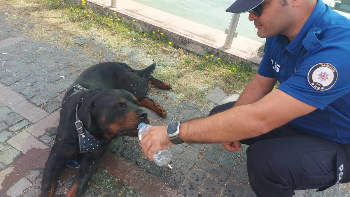 Polis Köpeği Kurtardı
