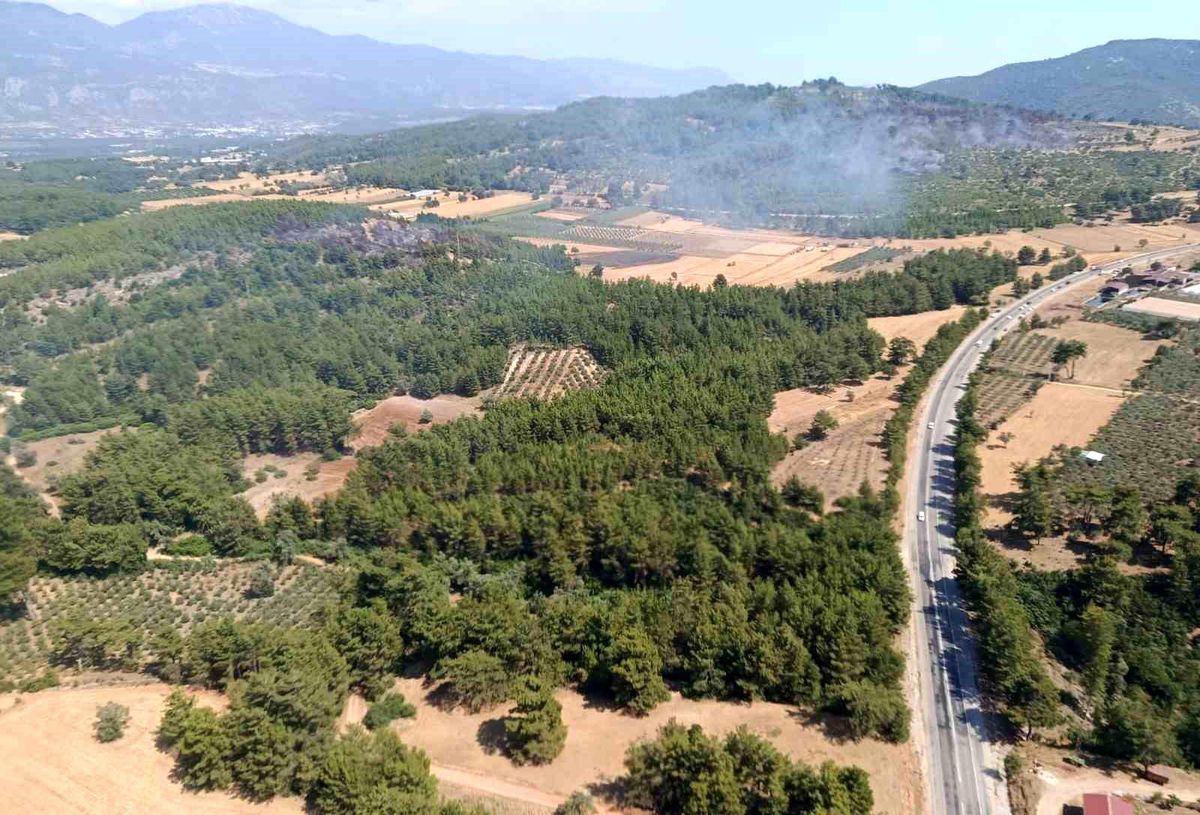 Seydikemer\'deki orman yangını kontrol altına alındı