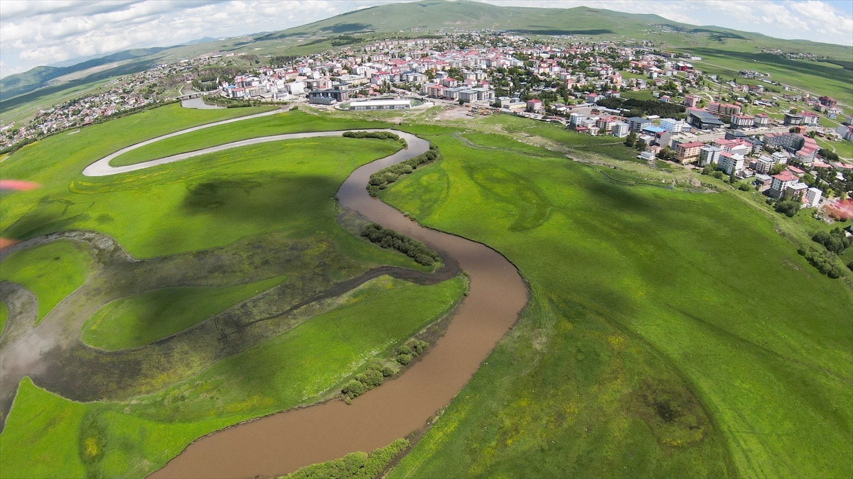 Ardahan Ovası\'nda Doğa Canlandı