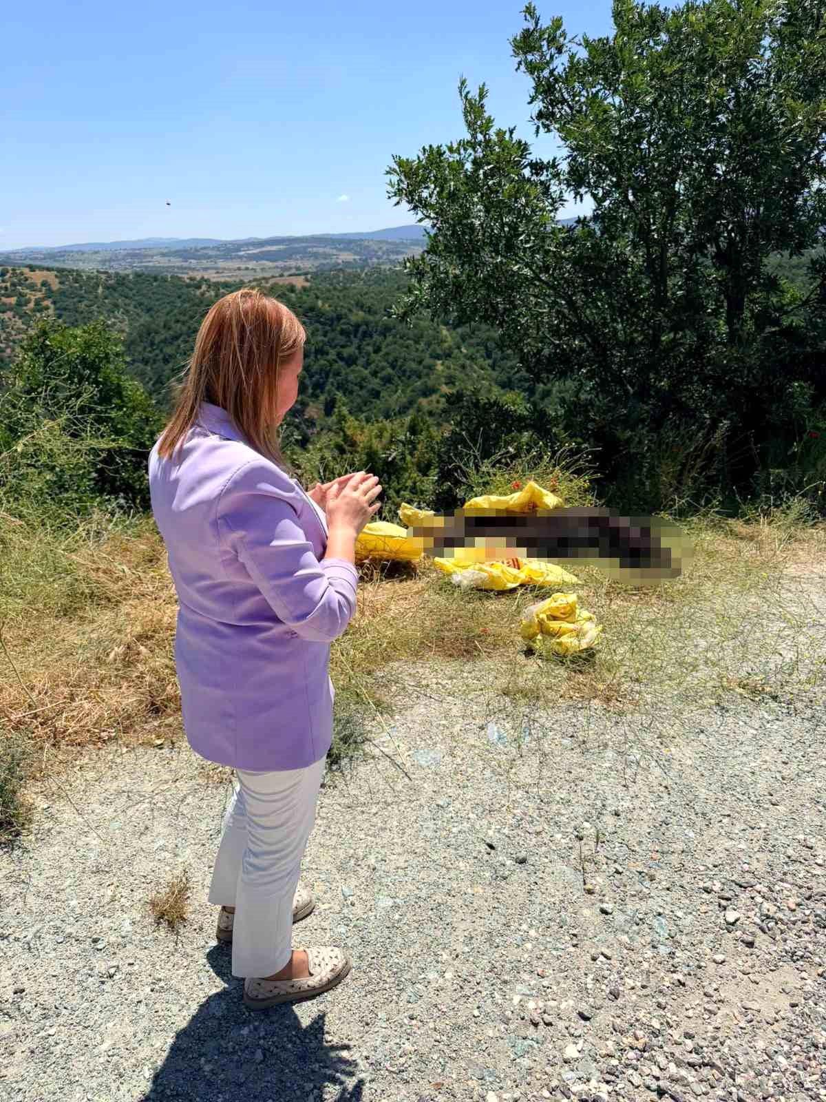 Başkan Tekin\'den yol kenarına bırakılan hayvan leşine sert tepki