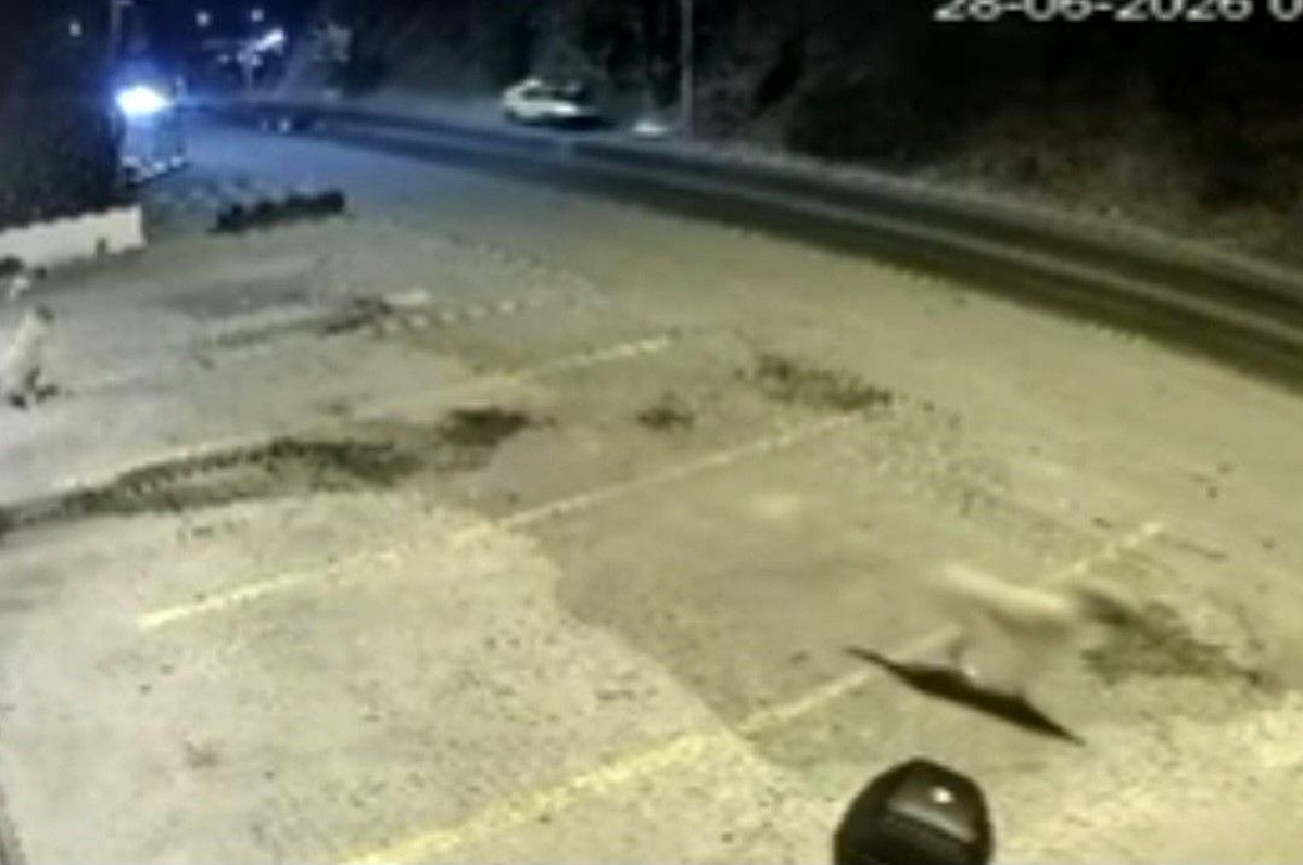 Bodrum\'da Trafik Kazası: 2 Ölü